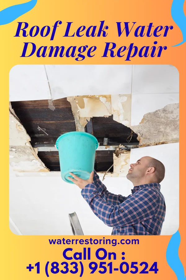Roof Leak Water Damage Repair in Cridersville, OH