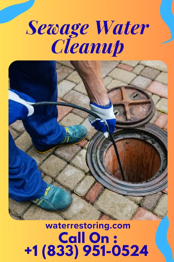 Sewage Water Cleanup in Cridersville, OH