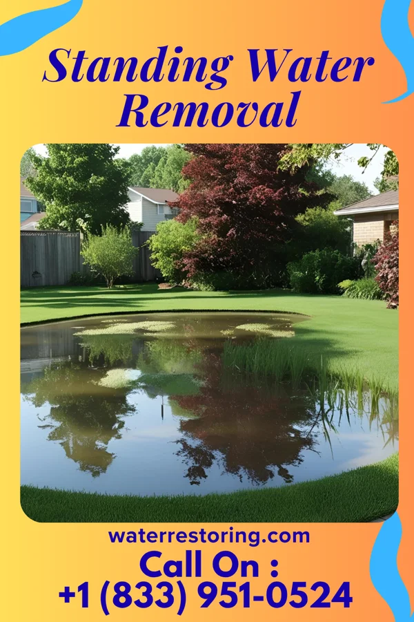 Standing Water Removal in Cridersville, OH